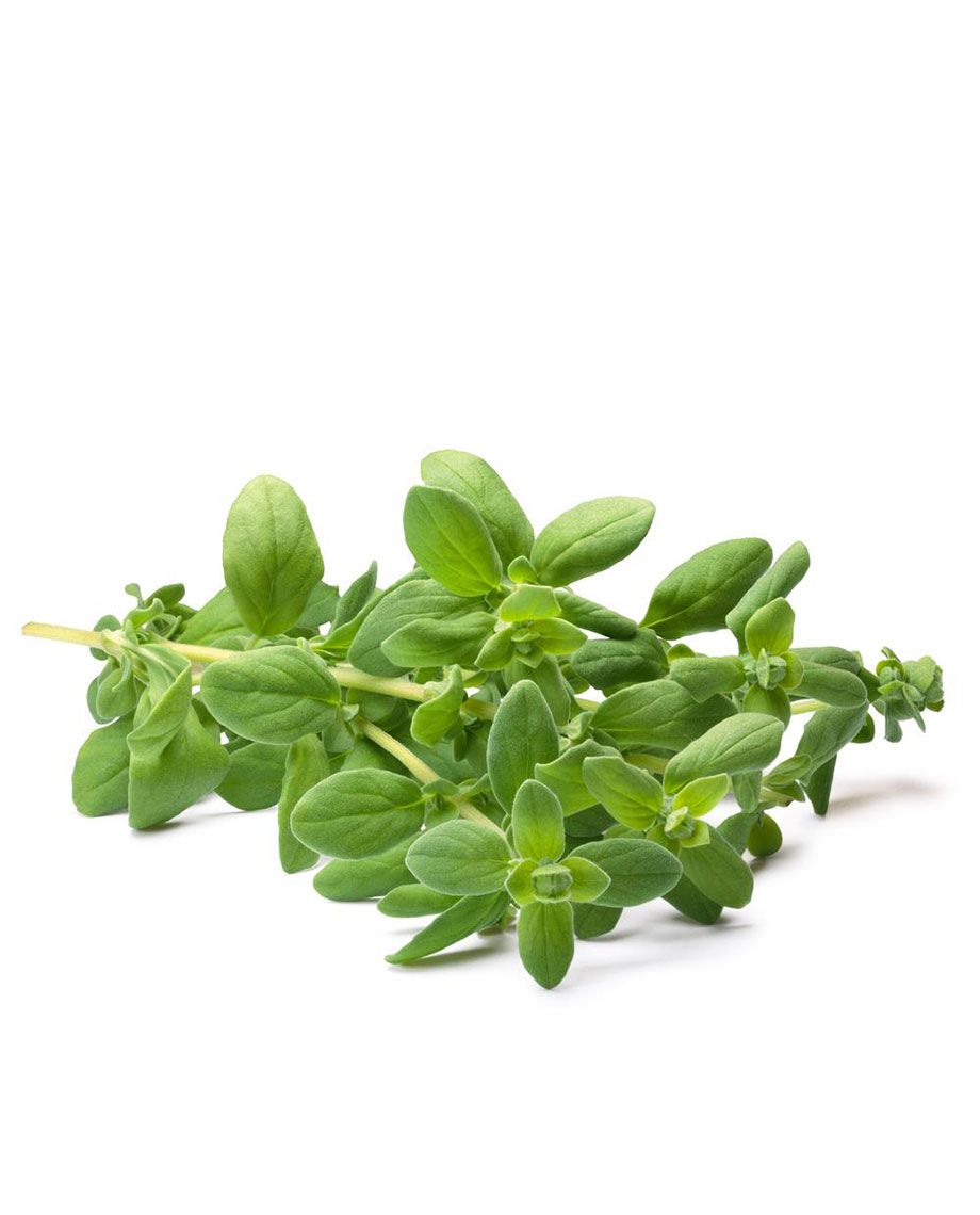 Čaj od mažurana Čaj od mažurana